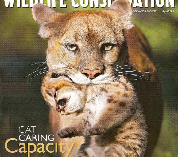 Wildlife conservation cover